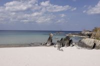 fondo-mozambique_1