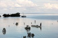 mozambique-2467686_1280